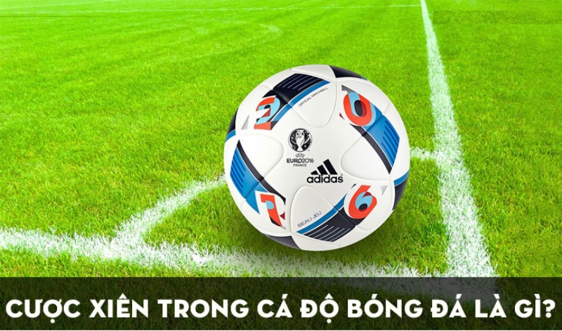 Hướng Dẫn Cược Xiên Trong Bóng Đá Hiệu Quả Nhất 