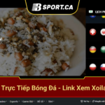 0504-bsport.ca-43